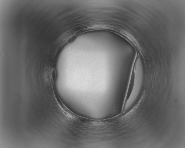 X0000075410849200610061955