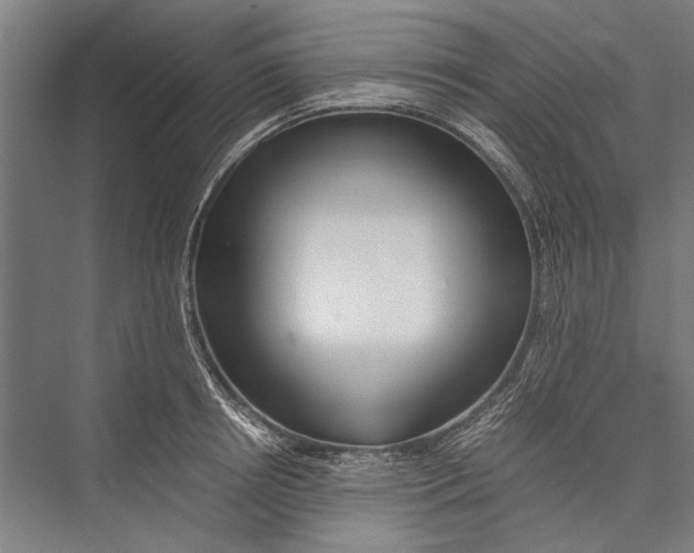 X0000075410850200610061955