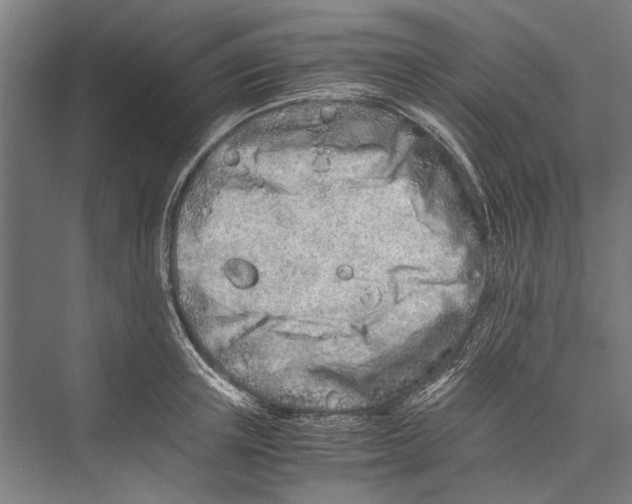 X0000075410851200610061955