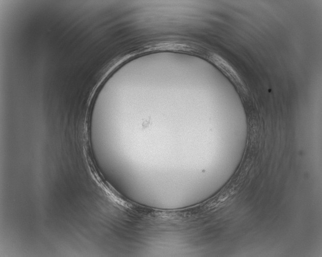 X0000075410852200610061955