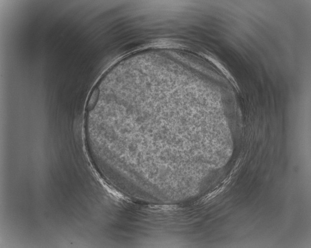 X0000075410853200610061955