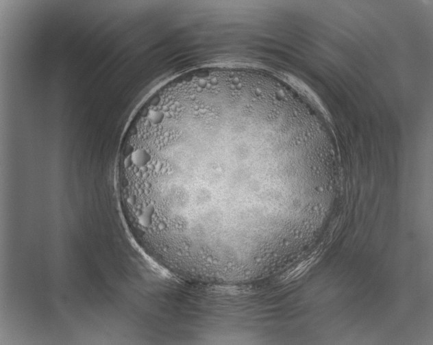 X0000075410855200610061955