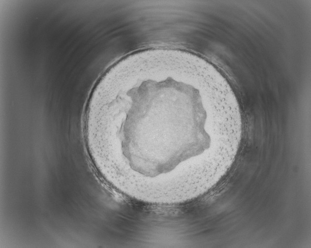 X0000075410856200610061955