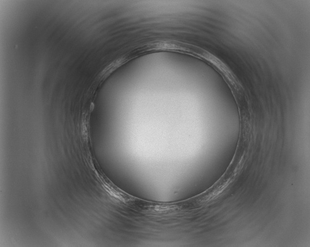 X0000075410857200610061955