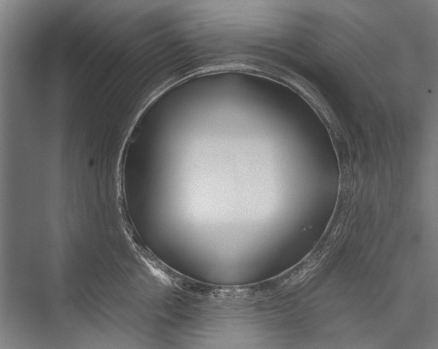 X0000075410858200610061955