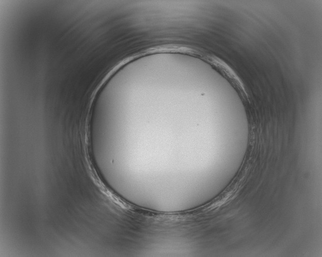 X0000075410860200610061955