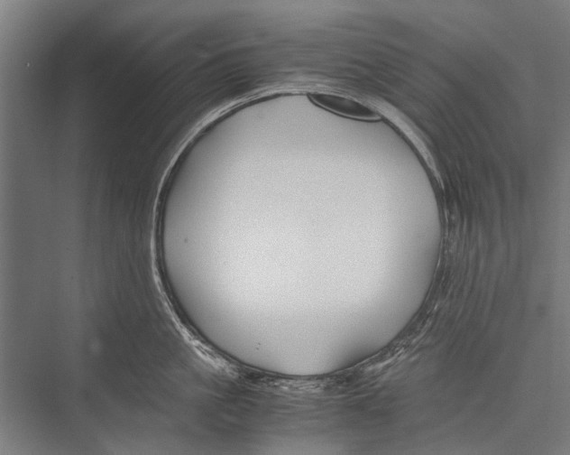 X0000075410861200610061956