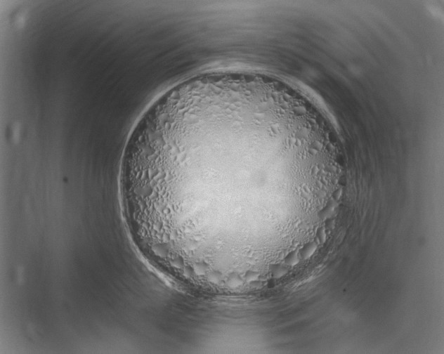 X0000075410863200610061956