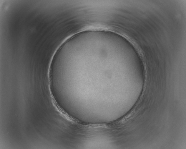 X0000075410864200610061956