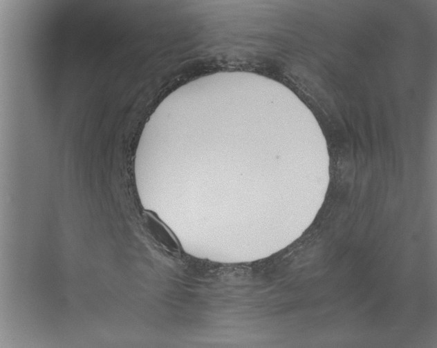 X0000075410865200610061955