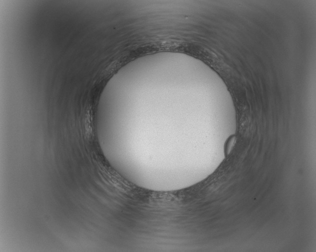 X0000075410866200610061955