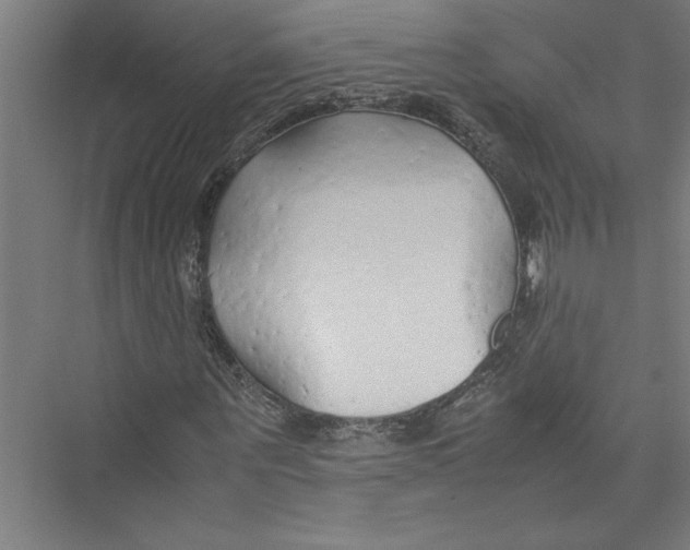 X0000075410867200610061955