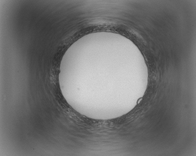 X0000075410869200610061955