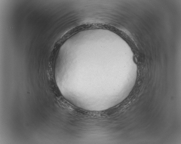 X0000075410871200610061955