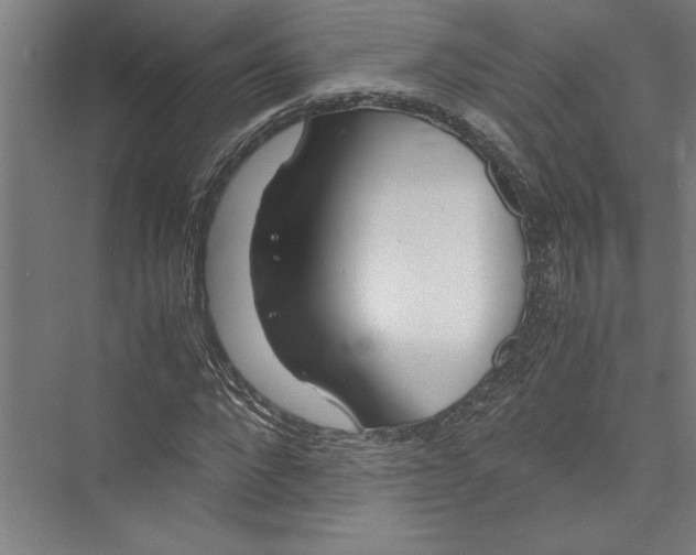 X0000075410872200610061955