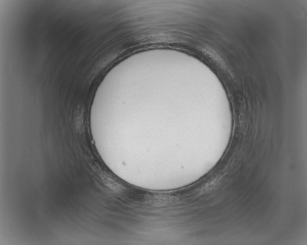 X0000075410873200610061955