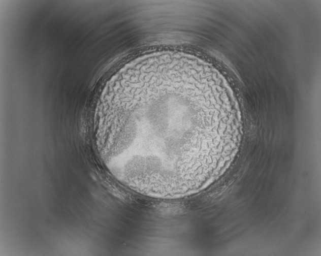 X0000075410874200610061955