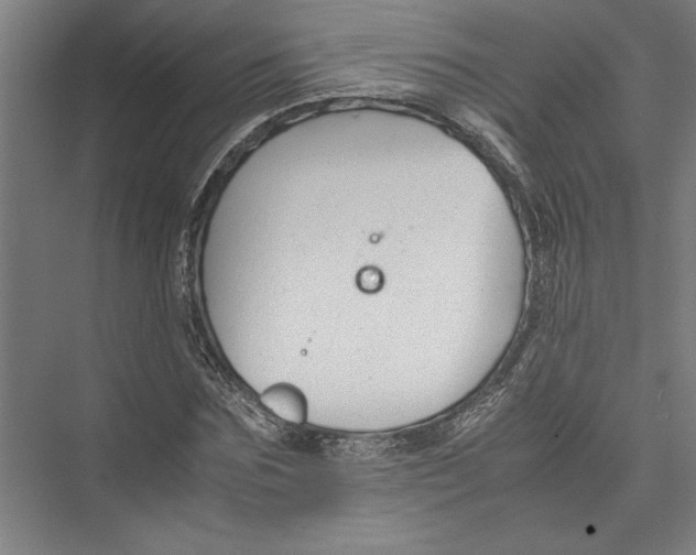 X0000075410875200610061955