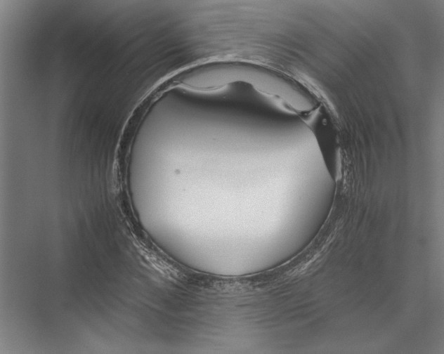 X0000075410876200610061955