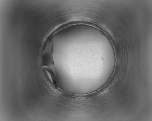 X0000075410877200610061955