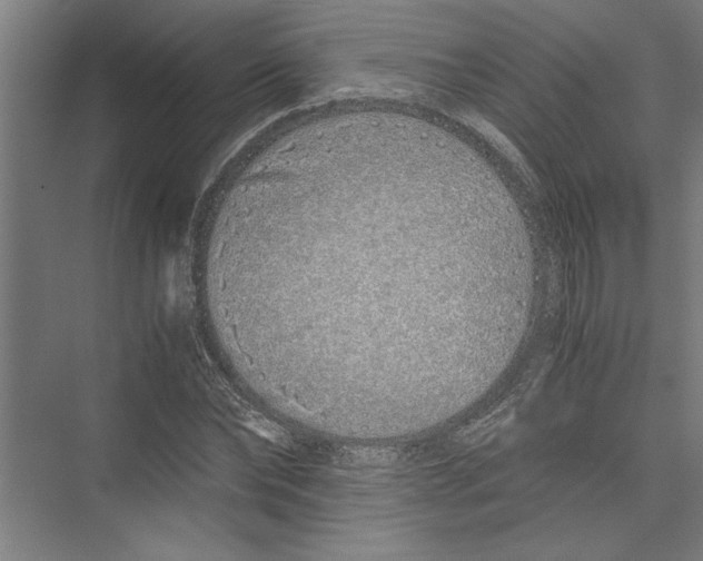 X0000075410878200610061955