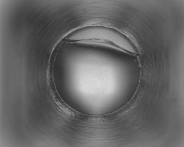 X0000075410880200610061954