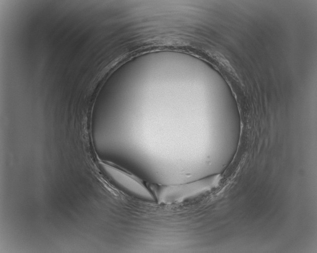 X0000075410881200610061954