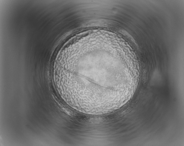 X0000075410882200610061954