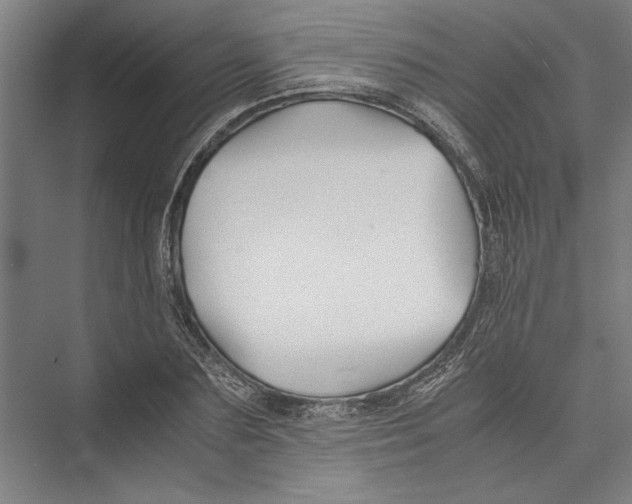 X0000075410883200610061954