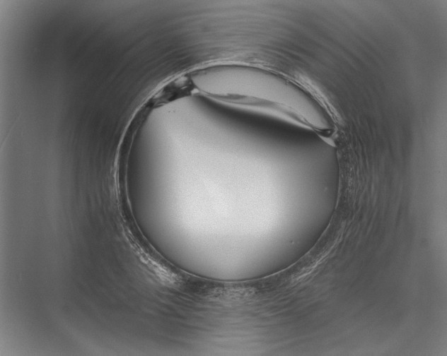 X0000075410884200610061954