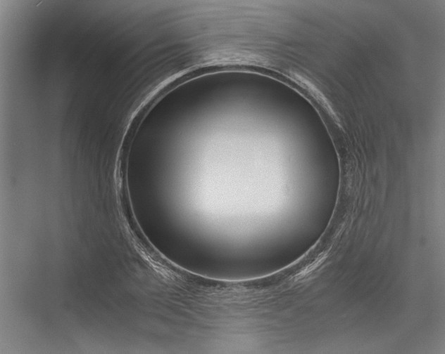 X0000075410885200610061954