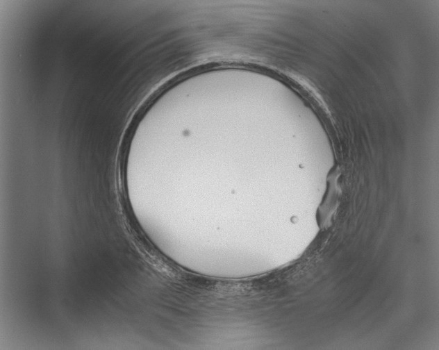 X0000075410887200610061954