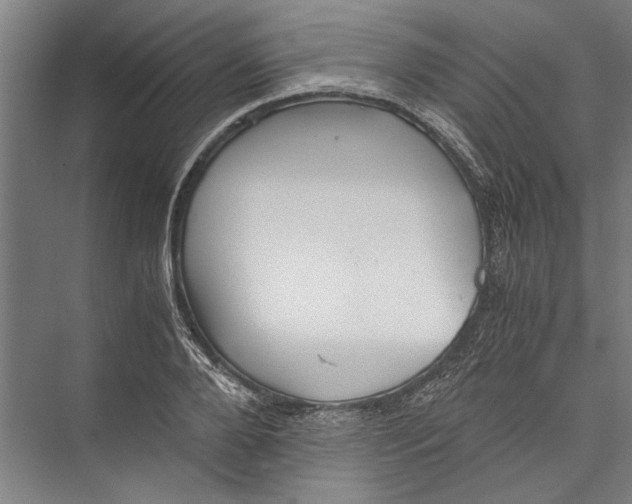 X0000075410888200610061954