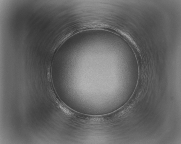 X0000075410889200610061954