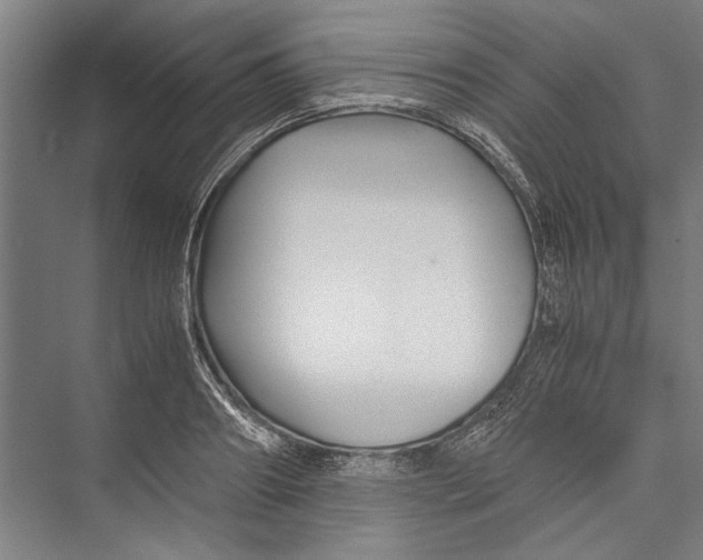 X0000075410890200610061954