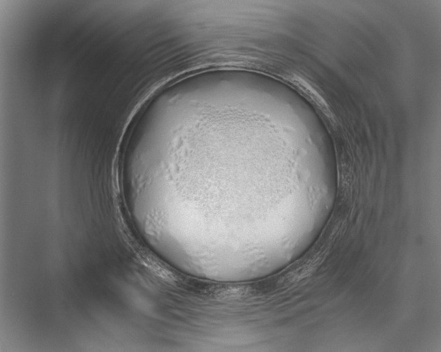 X0000075410891200610061954