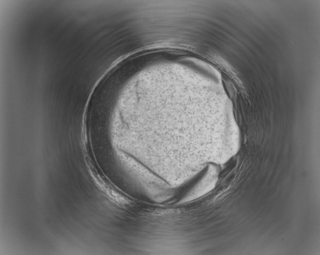 X0000075410892200610061954