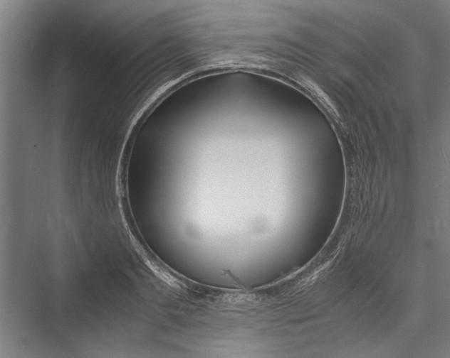 X0000075410893200610061954