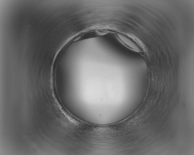 X0000075410894200610061954