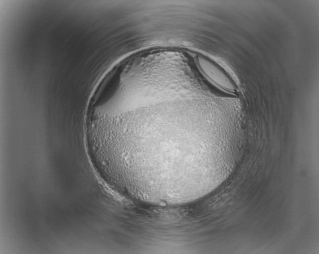 X0000075410895200610061954