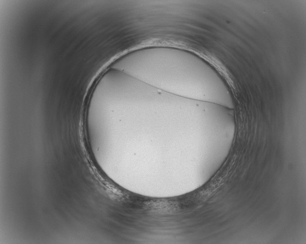 X0000075410896200610061954