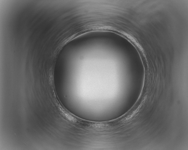 X0000075410897200610061954