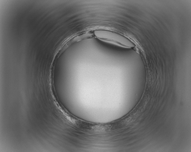 X0000075410898200610061954