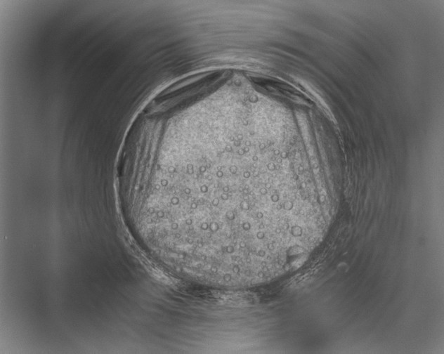 X0000075410899200610061954