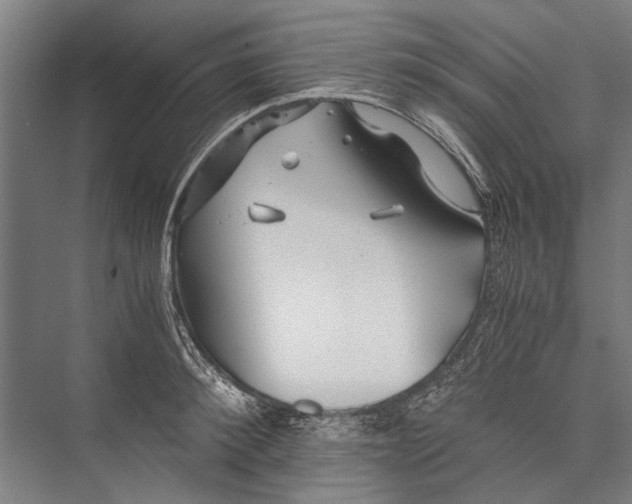 X0000075410900200610061954