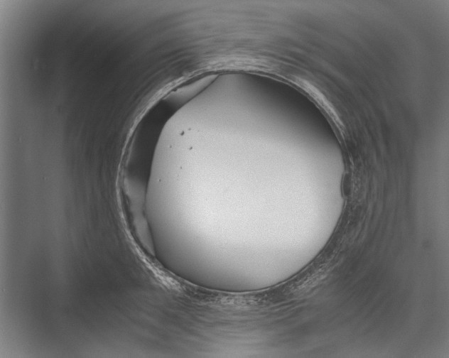 X0000075410901200610061954