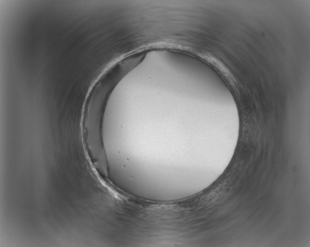 X0000075410902200610061954