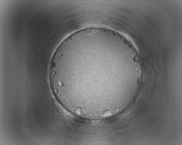 X0000075410903200610061954