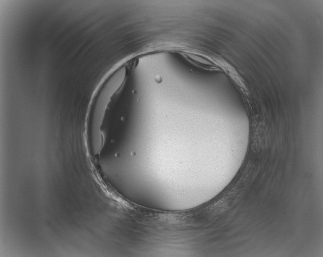 X0000075410904200610061954