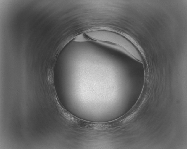 X0000075410905200610061954